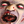 Icono de NOTLD